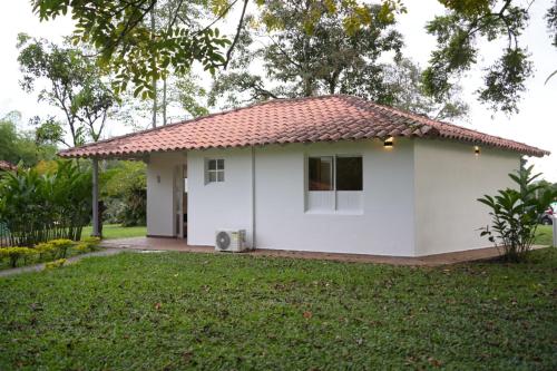 Superior Villa image 9
