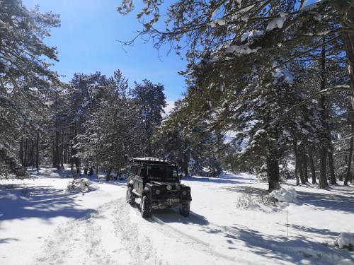 Bolu da orman içinde göl manzaralı villa