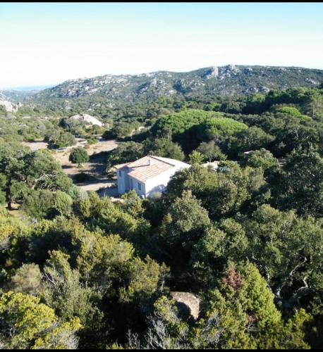 Dans un écrin de verdure, appartement gîte indépendant en Corse du Sud