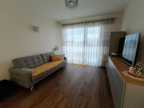 Apartament Łokietka