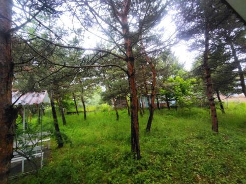 Sevan Guest House, Tsamakaberd (фото 9)