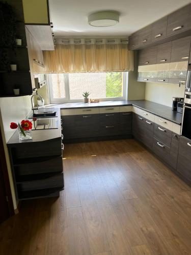 virtuve, Seto Apartment in Vahtselīna