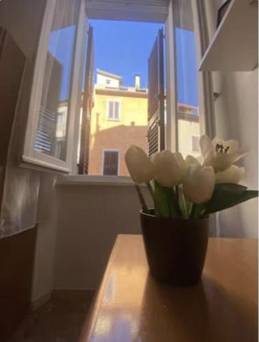 Casa Rella - Camera Green