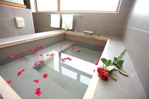 温泉, リド フォレストリー スパ リゾート (Lido Forestry Spa Resort) in 楊梅区（ヤンメイ）