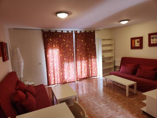 One-Bedroom Apartment image 10