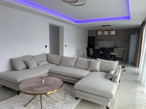 Somogyi Apartman in Cotormani