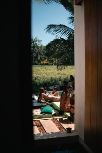 Black Honey - image 5