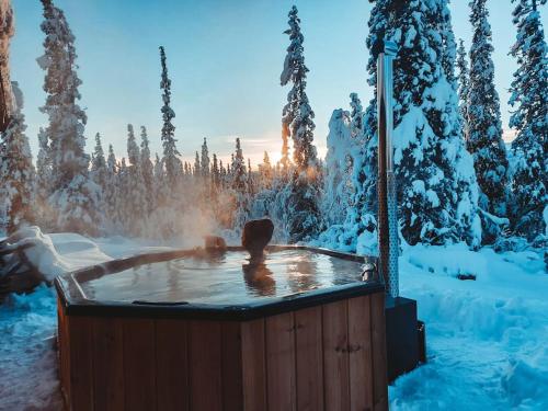 Cozy Mountain Cottage with beautiful views & Sauna in City Center