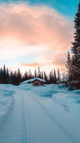 Cozy Mountain Cottage with beautiful views & Sauna