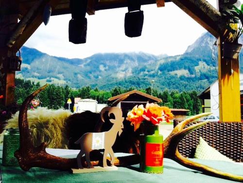 Fasiliteter, Steinbock Bed & Breakfast in Oberstdorf