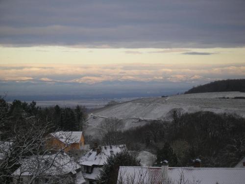 Ferienwohnung in Badenweiler