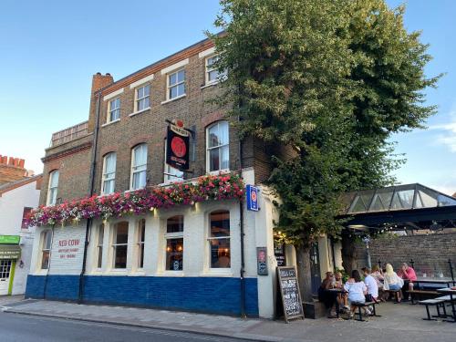 The Red Cow - Guest House - Accommodation - Richmond upon Thames