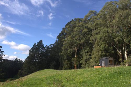 The Perfect Tiny House in Nature