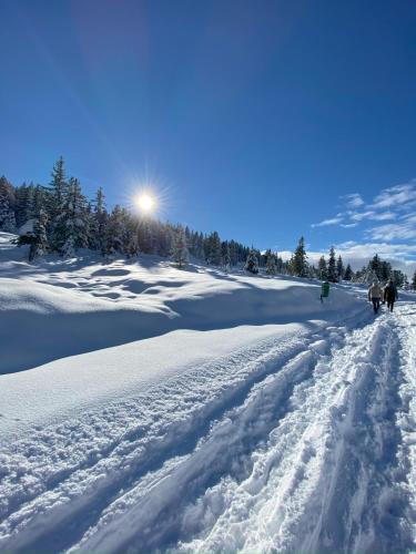 Neuwalder in Gerlos, Österreich