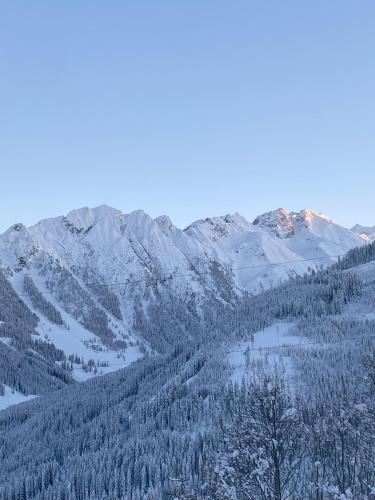 Neuwalder in Gerlos, Österreich