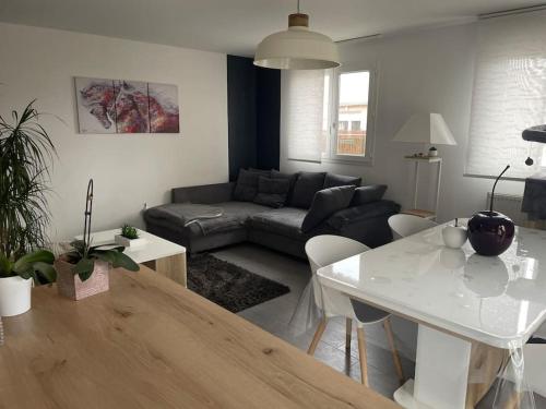 Appart cosy 4 à 6 pers - parking privé - 2 terrasses - Colmar