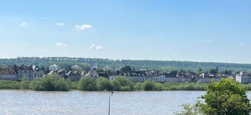 COEUR DE BLOIS CHARMANT APPART LOUIS XII VUE LOIRE