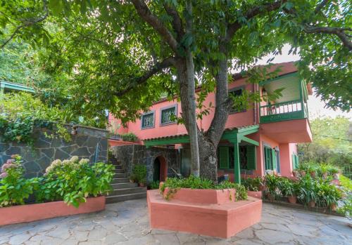 Instalações, Finca Cloty in Vega de San Mateo