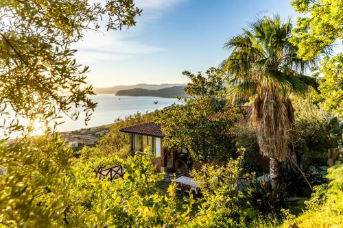 Panoramic Sea view Cosy sicilian house with garden 3