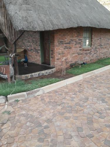 The Big Five Lodge