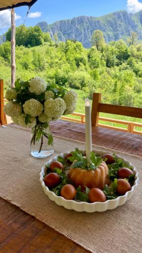 Food and beverages, Rosehip camp in Dimitrovgrad