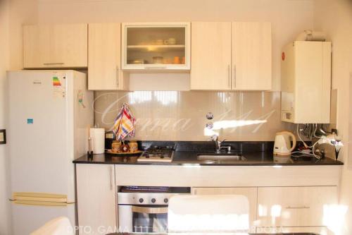 Departamento GAMA 111. in Concepción