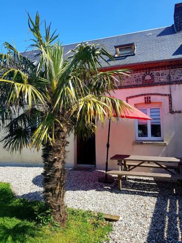 Garden, Le Palmier des Rochers in Saint Leonard