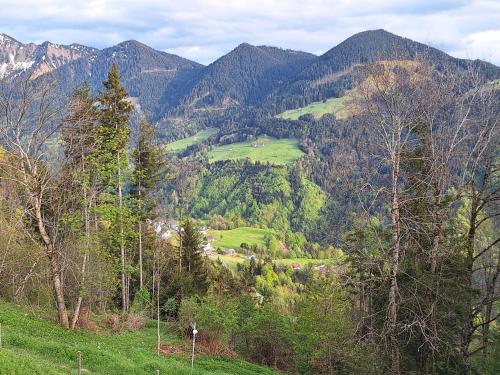 Wohnung Rheintal im Alpenvorland