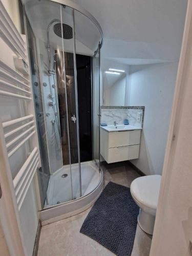 Fürdőszoba, 07 - Joli studio tout equipe avec un lit double, vue sur jardin, parking privatif gratuit, grand fou in Razac Sur L'Isle