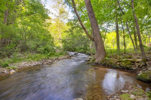 Restored Buchanan Log Cabin on 9-Mile Creek!