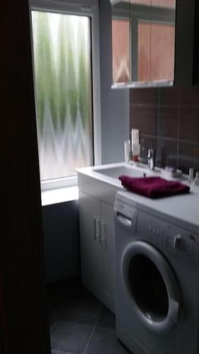 Spacious 1bedroom apartment, w free parking, w pet, Riga (Foto 6)