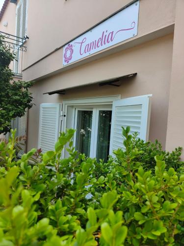 Camelia Vico Equense