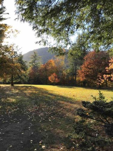 Adirondack Retreat! in Stony Creek, USA