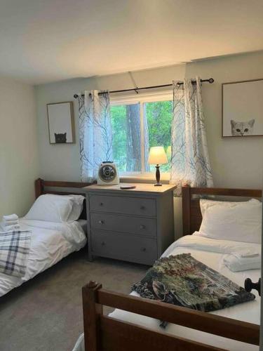 Adirondack Retreat! in Stony Creek, USA