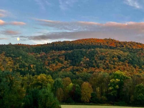 Adirondack Retreat! in Stony Creek, USA