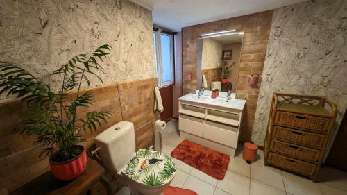 Studio 35m², Terrasse & Cuisine proche Carcassonne