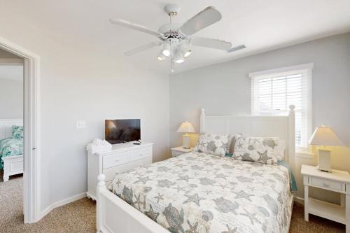 Conch & Crane Conch & Crane