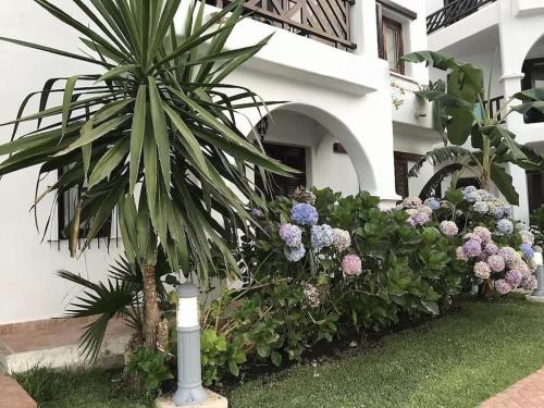 Appartement Cosy et Chaleureux in Cabo Negro