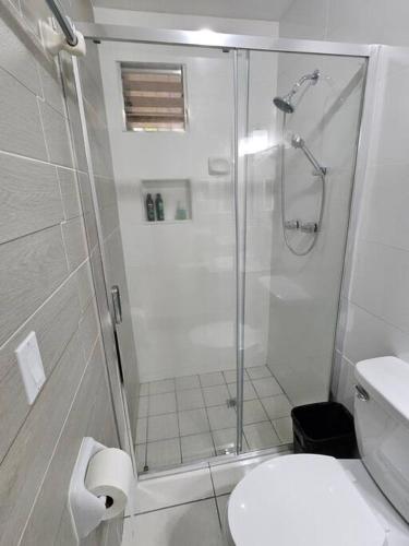 One-Bedroom Apartment image 8