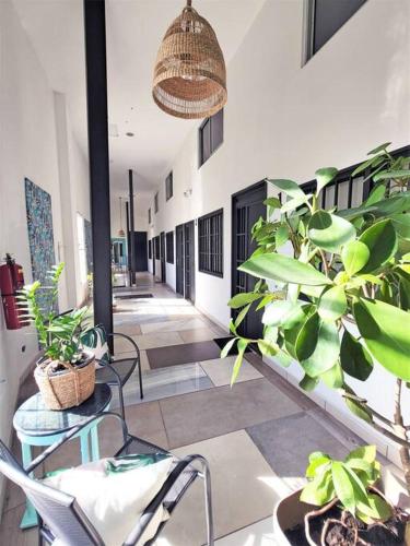 One-Bedroom Apartment image 6