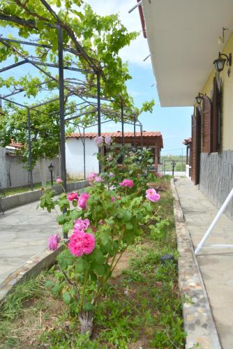 Emmanuel's Summer House Emmanuel's Summer House