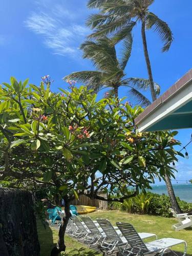 Moeʻuhane Kai Beach Front Home in Punaluu