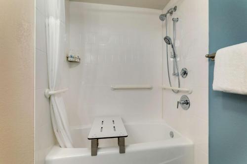 Mobility Accessible Guestroom King Tub