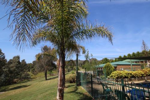 Motel Views Yackandandah