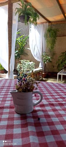 puutarha, Pousada Ray Sol - Centro Arraial d Ajuda in Porto Seguro