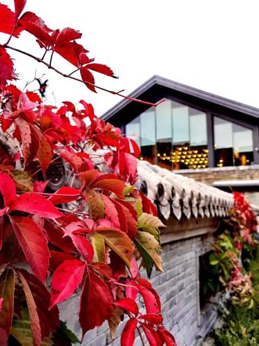 Jinshanling Great Wall Hotel in بكين وتاون