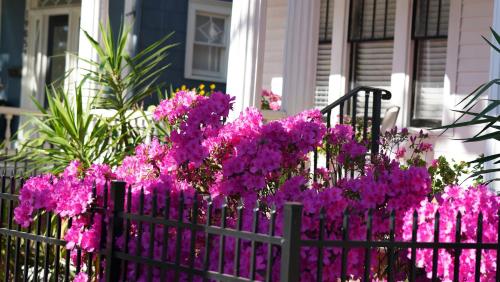 5 BR Downtown Savannah GA