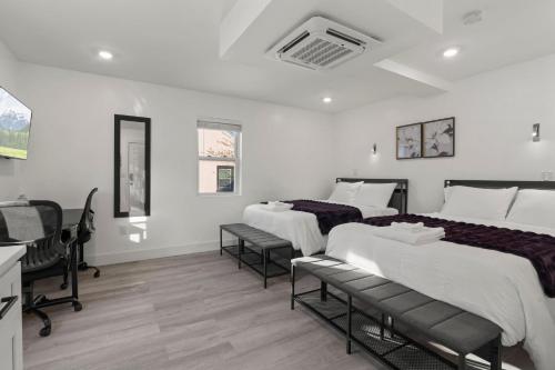 New Season Royals, Airport West