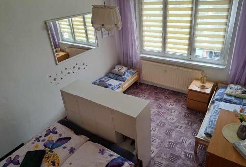 Apartmán v podhůří Krušných hor (Apartman v podhuri Krusnych hor) in 索科洛夫