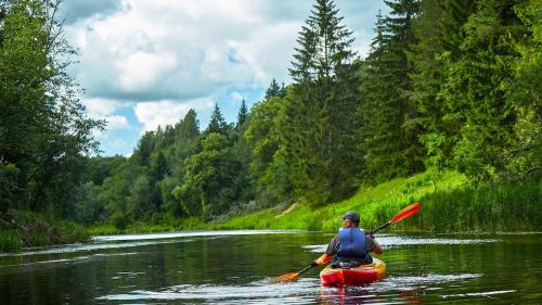 3BR Fife Lake Getaway with Fire Pit & Hot Tub 3BR Fife Lake Getaway with Fire Pit & Hot Tub